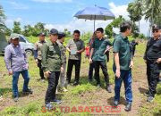 Dukung Ketahanan Pangan, Bupati Konut Tinjau Lokasi Percetakan Sawah Baru di Desa Lamonae