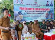 Panen Raya Bandeng Konawe Utara Lampaui Target, Bukti Kemajuan Sektor Perikanan Budidaya