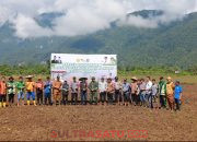 Gerakan Tanam Serentak 10.000 Hektare, Konawe Utara Perkuat Langkah Menuju Swasembada Pangan