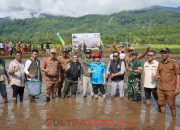 Pemerintah dan DPRD Konawe Utara Perkuat Swasembada Pangan Melalui Tanam Serentak Padi Sawah Program CSR di Wiwirano