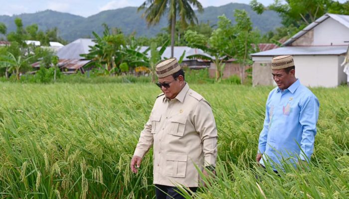 Prabowo Tinjau Teknologi Pertanian Modern, Optimistis Indonesia Jadi Lumbung Pangan Dunia