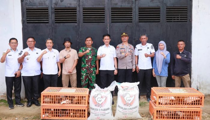 Bupati Ikbar Salurkan 8.224 Ayam dan 7,1 Ton Pakan untuk 59 Kelompok Tani di Konawe Utara