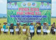 Sekda Konsel Ichsan Porosi Hadiri Panen Raya Padi Sawah di Kecamatan Basala: Wujud Ketahanan Pangan di Tengah Tantangan Kekeringan