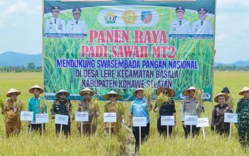 Sekda Konsel Ichsan Porosi Hadiri Panen Raya Padi Sawah di Kecamatan Basala: Wujud Ketahanan Pangan di Tengah Tantangan Kekeringan