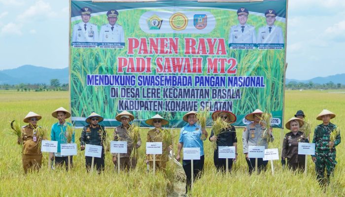 Sekda Konsel Ichsan Porosi Hadiri Panen Raya Padi Sawah di Kecamatan Basala: Wujud Ketahanan Pangan di Tengah Tantangan Kekeringan