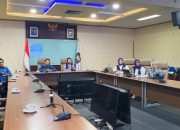 TP Posyandu Konsel Laporkan Capaian Implementasi Posyandu 6 SPM ke Ditjen Bina Pemdes